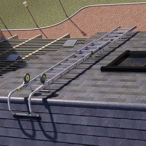 Adjustable Roof Ladder