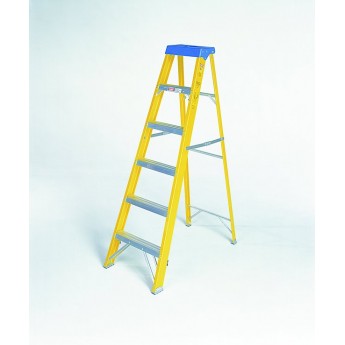 12 Tread Step Ladder