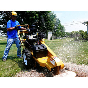 25HP Stump Grinder