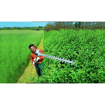 Petrol Long Handled Hedge Trimmer
