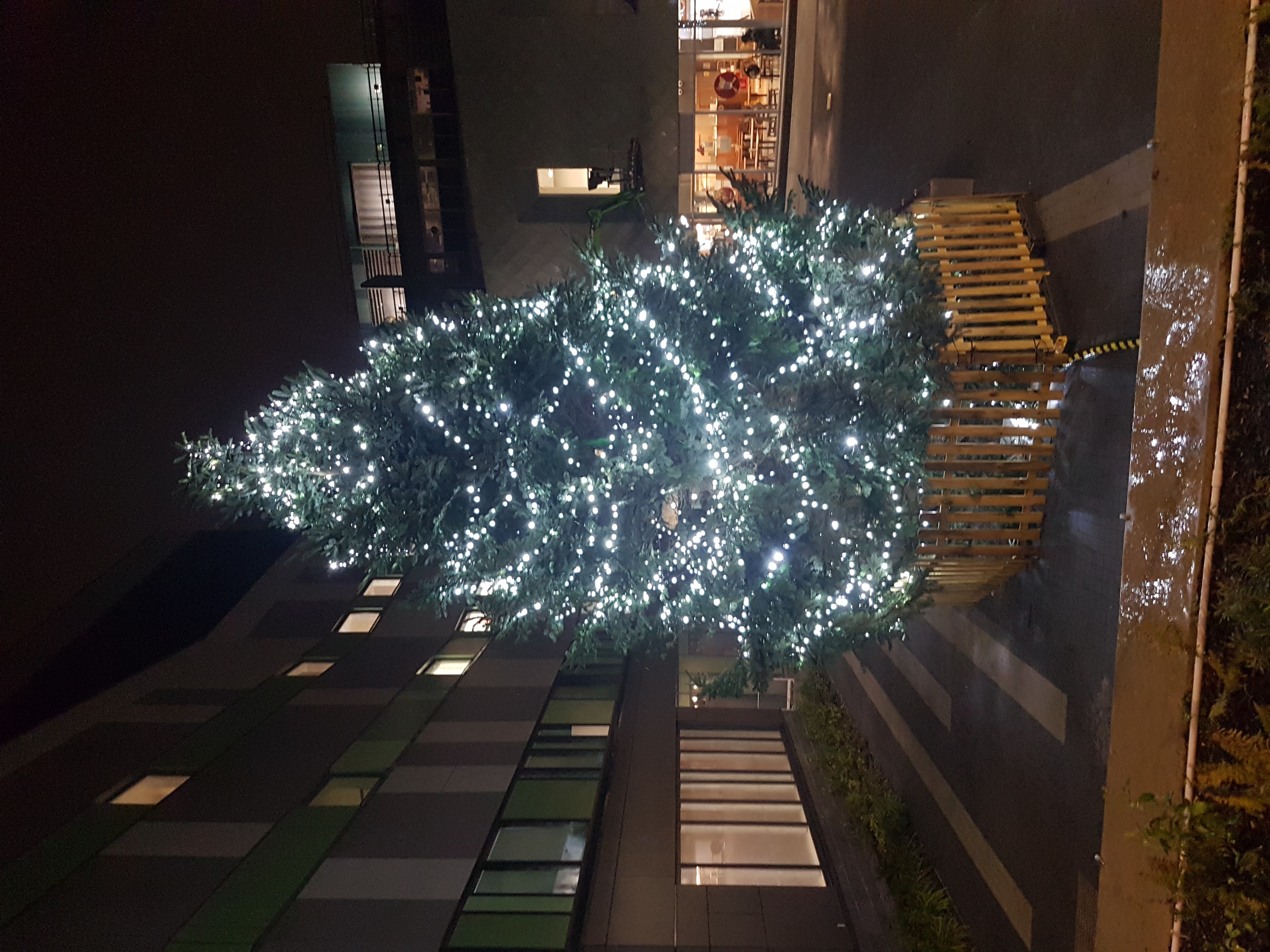 FTH Hire Christmas Tree Lights Southampton Hospital